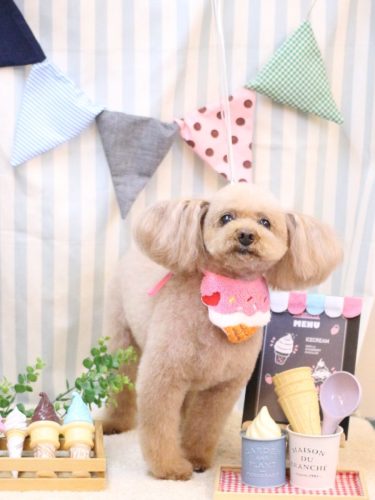 20250510メルちゃん